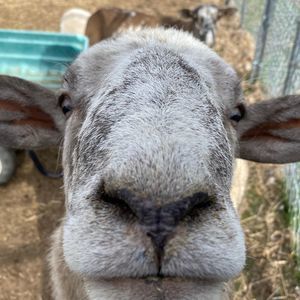 Meet your Posher, Kay